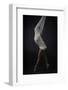 Sheer Stretch-Catchlight Studio-Framed Photographic Print