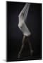 Sheer Stretch-Catchlight Studio-Mounted Photographic Print