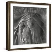 Sheer Waves over Nude Breasts-Monika Brand-Framed Photographic Print