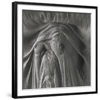 Sheer Waves over Nude Breasts-Monika Brand-Framed Photographic Print