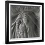 Sheer Waves over Nude Breasts-Monika Brand-Framed Photographic Print