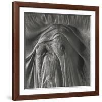 Sheer Waves over Nude Breasts-Monika Brand-Framed Photographic Print