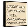 Sheet 4, from a portfolio of alphabets, 1929-Unknown-Framed Stretched Canvas