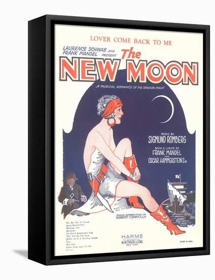 Sheet Music for the New Moon-null-Framed Stretched Canvas