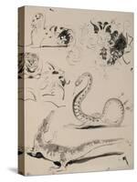 Sheet of Studies: Cat, Crocodile, Snake, Decorative-Eugene Delacroix-Stretched Canvas