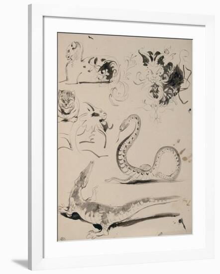 Sheet of Studies: Cat, Crocodile, Snake, Decorative-Eugene Delacroix-Framed Giclee Print