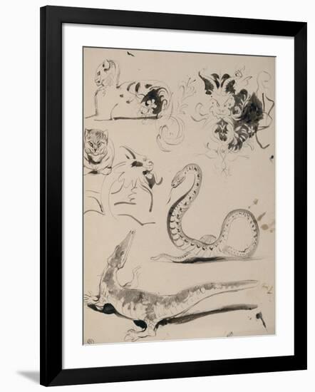 Sheet of Studies: Cat, Crocodile, Snake, Decorative-Eugene Delacroix-Framed Giclee Print