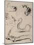 Sheet of Studies: Cat, Crocodile, Snake, Decorative-Eugene Delacroix-Mounted Giclee Print