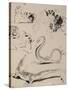 Sheet of Studies: Cat, Crocodile, Snake, Decorative-Eugene Delacroix-Stretched Canvas