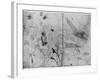 Sheet of Studies, Late 15th or Early 16th Century-Leonardo da Vinci-Framed Giclee Print