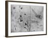 Sheet of Studies, Late 15th or Early 16th Century-Leonardo da Vinci-Framed Giclee Print