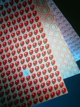 Sheets of LSD (acid) Tabs' Photographic Print - Tek Image | AllPosters.com