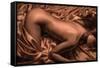 Sheets-David Naman-Framed Stretched Canvas