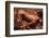 Sheets-David Naman-Framed Photographic Print