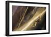 Sheetweb Weaving Spider (Linyphiidae) in Web at Sunset-Alex Hyde-Framed Photographic Print