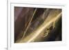 Sheetweb Weaving Spider (Linyphiidae) in Web at Sunset-Alex Hyde-Framed Photographic Print