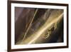 Sheetweb Weaving Spider (Linyphiidae) in Web at Sunset-Alex Hyde-Framed Photographic Print