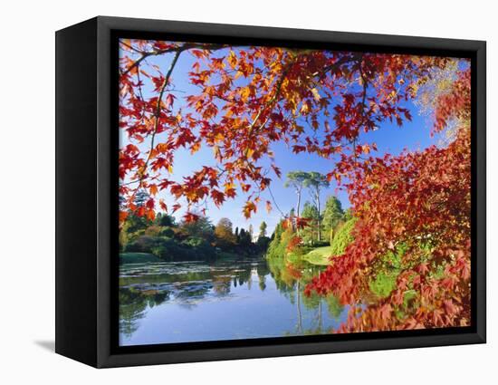 Sheffield Park Garden, the Middle Lake Framed by Scarlet Acer Leaves, Autumn, East Sussex, England-Ruth Tomlinson-Framed Stretched Canvas