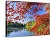 Sheffield Park Garden, the Middle Lake Framed by Scarlet Acer Leaves, Autumn, East Sussex, England-Ruth Tomlinson-Stretched Canvas