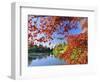 Sheffield Park Garden, the Middle Lake Framed by Scarlet Acer Leaves, Autumn, East Sussex, England-Ruth Tomlinson-Framed Photographic Print