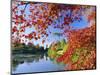 Sheffield Park Garden, the Middle Lake Framed by Scarlet Acer Leaves, Autumn, East Sussex, England-Ruth Tomlinson-Mounted Photographic Print