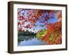 Sheffield Park Garden, the Middle Lake Framed by Scarlet Acer Leaves, Autumn, East Sussex, England-Ruth Tomlinson-Framed Photographic Print