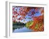 Sheffield Park Garden, the Middle Lake Framed by Scarlet Acer Leaves, Autumn, East Sussex, England-Ruth Tomlinson-Framed Photographic Print