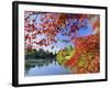 Sheffield Park Garden, the Middle Lake Framed by Scarlet Acer Leaves, Autumn, East Sussex, England-Ruth Tomlinson-Framed Photographic Print