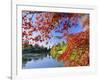 Sheffield Park Garden, the Middle Lake Framed by Scarlet Acer Leaves, Autumn, East Sussex, England-Ruth Tomlinson-Framed Photographic Print