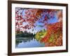 Sheffield Park Garden, the Middle Lake Framed by Scarlet Acer Leaves, Autumn, East Sussex, England-Ruth Tomlinson-Framed Photographic Print