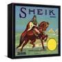 Sheik Brand - Colton, California - Citrus Crate Label-Lantern Press-Framed Stretched Canvas