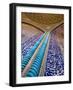 Sheik Lotfallah Mosque, Isfahan, Iran-Michele Falzone-Framed Photographic Print