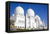 Sheikh Zayed Bin Sultan Al Nahyan Mosque, Abu Dhabi, United Arab Emirates, Middle East-Frank Fell-Framed Stretched Canvas