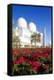 Sheikh Zayed Bin Sultan Al Nahyan Mosque, Abu Dhabi, United Arab Emirates, Middle East-Frank Fell-Framed Stretched Canvas