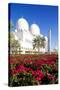 Sheikh Zayed Bin Sultan Al Nahyan Mosque, Abu Dhabi, United Arab Emirates, Middle East-Frank Fell-Stretched Canvas