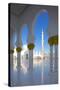 Sheikh Zayed Bin Sultan Al Nahyan Mosque, Abu Dhabi, United Arab Emirates, Middle East-Frank Fell-Stretched Canvas