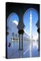 Sheikh Zayed Bin Sultan Al Nahyan Mosque, Abu Dhabi, United Arab Emirates, Middle East-Frank Fell-Stretched Canvas