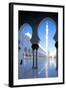 Sheikh Zayed Bin Sultan Al Nahyan Mosque, Abu Dhabi, United Arab Emirates, Middle East-Frank Fell-Framed Photographic Print