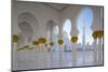 Sheikh Zayed Bin Sultan Al Nahyan Mosque, Abu Dhabi, United Arab Emirates, Middle East-Frank Fell-Mounted Photographic Print