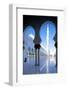 Sheikh Zayed Bin Sultan Al Nahyan Mosque, Abu Dhabi, United Arab Emirates, Middle East-Frank Fell-Framed Photographic Print