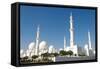 Sheikh Zayed Grand Mosque, Abu Dhabi, UAE-Bill Bachmann-Framed Stretched Canvas