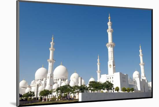 Sheikh Zayed Grand Mosque, Abu Dhabi, UAE-Bill Bachmann-Mounted Photographic Print