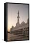 Sheikh Zayed Grand Mosque, Abu Dhabi, United Arab Emirates, Middle East-Sergio Pitamitz-Framed Stretched Canvas