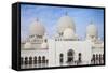Sheikh Zayed Grand Mosque, Abu Dhabi, United Arab Emirates, Middle East-Jane Sweeney-Framed Stretched Canvas