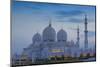 Sheikh Zayed Grand Mosque, Abu Dhabi, United Arab Emirates, Middle East-Jane Sweeney-Mounted Photographic Print