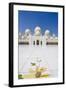 Sheikh Zayed Grand Mosque, Abu Dhabi, United Arab Emirates, Middle East-Fraser Hall-Framed Photographic Print