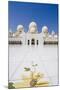 Sheikh Zayed Grand Mosque, Abu Dhabi, United Arab Emirates, Middle East-Fraser Hall-Mounted Photographic Print