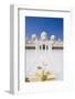 Sheikh Zayed Grand Mosque, Abu Dhabi, United Arab Emirates, Middle East-Fraser Hall-Framed Photographic Print