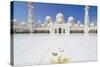 Sheikh Zayed Grand Mosque, Abu Dhabi, United Arab Emirates, Middle East-Fraser Hall-Stretched Canvas