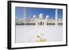 Sheikh Zayed Grand Mosque, Abu Dhabi, United Arab Emirates, Middle East-Fraser Hall-Framed Photographic Print